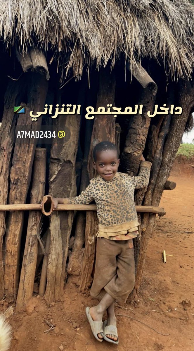 Hany_Alsubhi's tweet photo. رحلة مختلفة 
في أدغال أفريقيا 
داخل المجتمع التنزاني 🇹🇿

بعدسة المبدع ابو سعود
@a7madms
عبر سنابه المميز 👇🏻

https://t.co/BqCi2uwuau

ابداع و امتاع و مشاهدات مختلفة تمامًا 👌🏼👍🏻

#هاني_الصبحي 🌹
، https://t.co/wKrC9zM18m