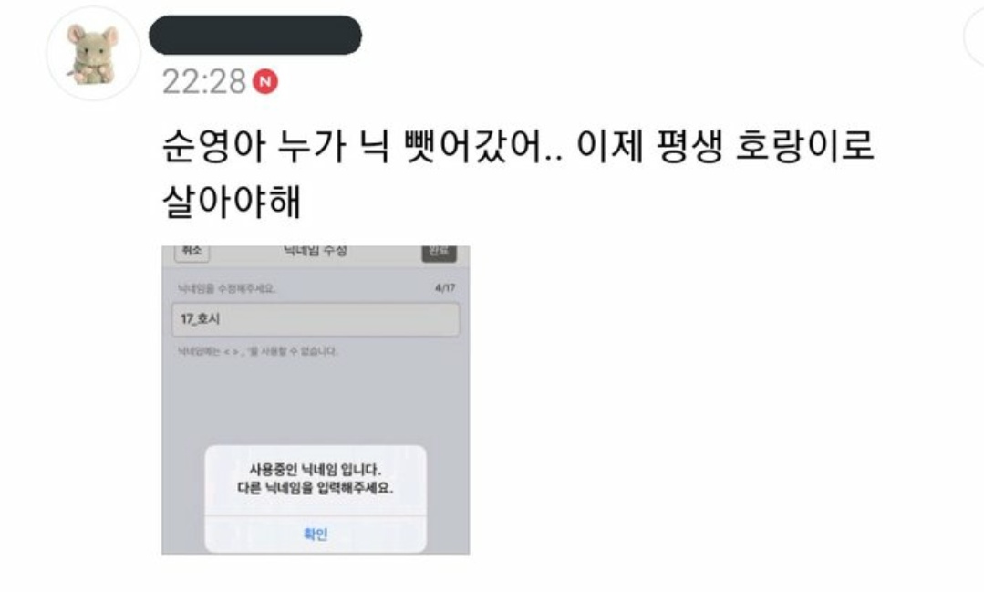 트친소 랑이 ᴗ Hoho Hos Twitter