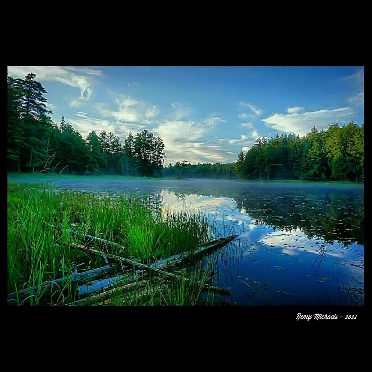 remymichaels's tweet photo. "NORTHERN DREAMS" https://t.co/hCcbKYY2lw #CanadianGeographic #NationalGeographic #AlgonquinPark #Wilderness #Sunrise #JakeLake #Beautiful #Wildlife #OntarioParks #PicOfTheDay #Travel #Nature #Muskoka #Huntsville #Gravenhurst #Photography #Art #Earth πβοΈπβοΈππ²π²ππΈπΎπΎβ₯οΈππ¨π¦ https://t.co/InQDGAQcgD