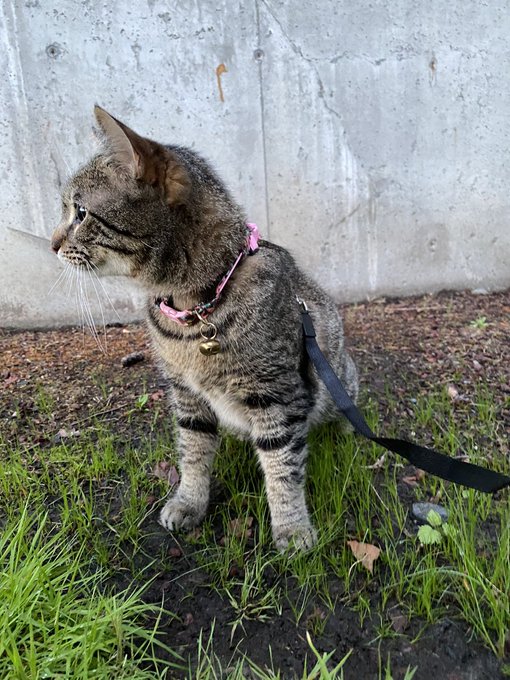 she&rsquo;s such a good girl 😭 https://t.co/q52MWLrnZQ<a href="/tag/throne"class="tags"><span>#throne</span></a><a href="/tag/wishlist"class="tags"><span>#wishlist</span></a>