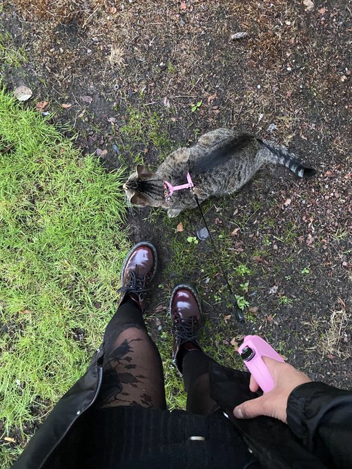 she&rsquo;s such a good girl 😭 https://t.co/q52MWLrnZQ<a href="/tag/throne"class="tags"><span>#throne</span></a><a href="/tag/wishlist"class="tags"><span>#wishlist</span></a>