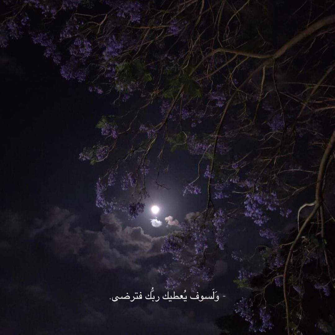 "سيقضي الله أمرًا كنت تظنه مُستحيلًا." 🖤
#صباح_السعاده