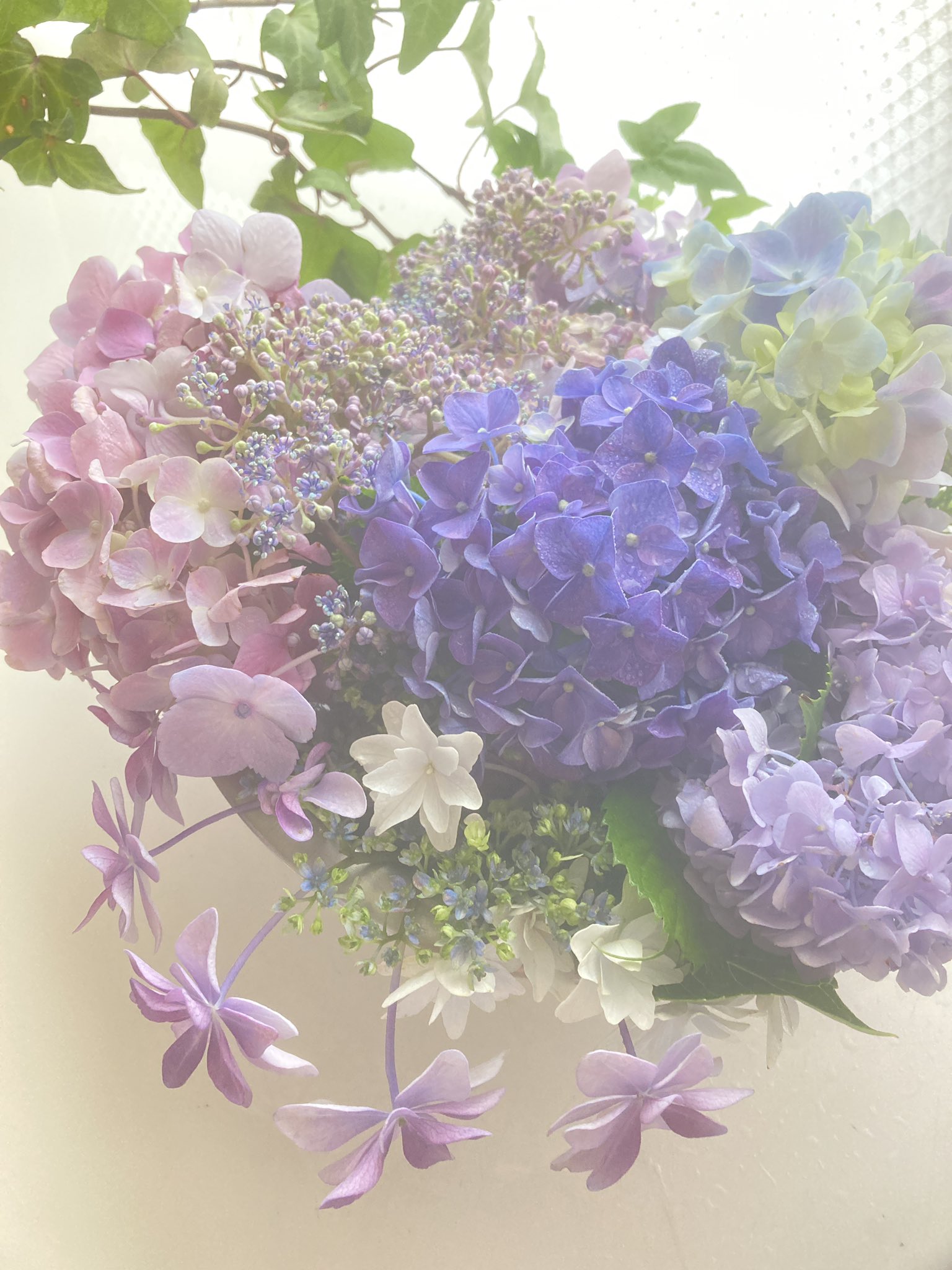 Sakizo 精霊大陸と刻印の魔女 実業之日本社より発売中 今日の花 欲しかった芍薬はもう終わってしまったみたいで紫陽花を沢山買った 色も品種もちがうので欲張って買ってしまった 花合わせはピンクのデルフィニウム T Co G6mlinpmyc