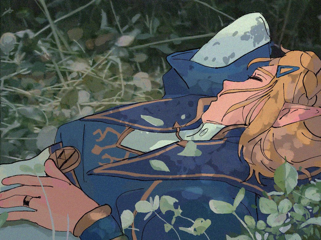 ゼルダ姫 「fell asleep waiting 」|nullptrのイラスト