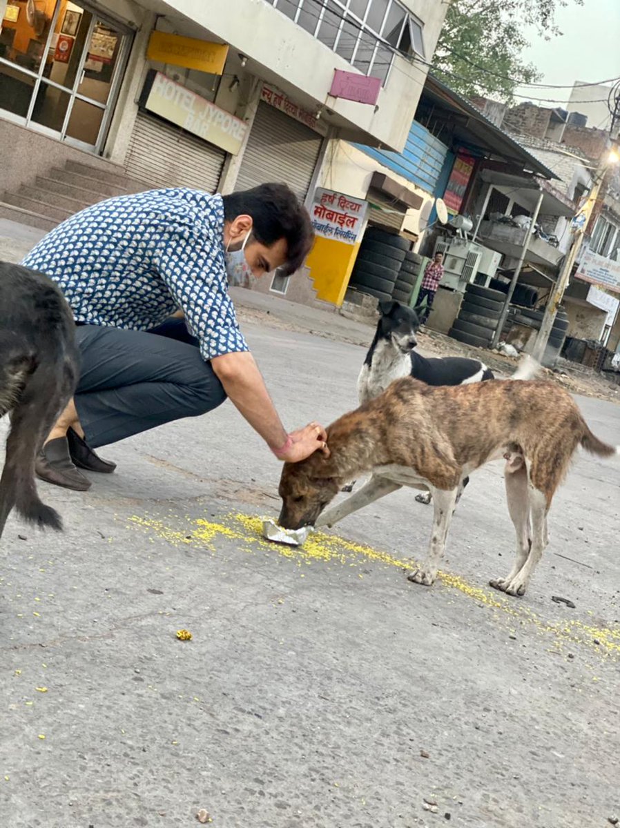 VirenDogman's tweet photo. Your Greatness is not what you have ,its what you give ❤️

#feedalife #feedasoul #feed_a_life_feed_a_soul https://t.co/uNLbRLl57i