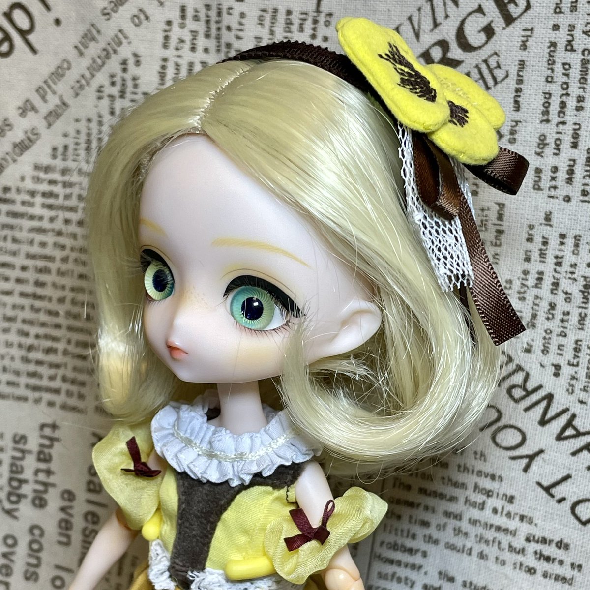 帯電防止処理加工 パンジー ハルモニアブルーム harmonia bloom | www