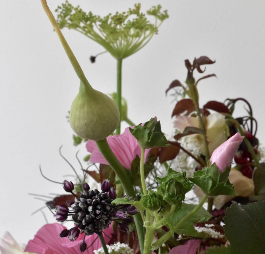 Soulfood Studio tweet media