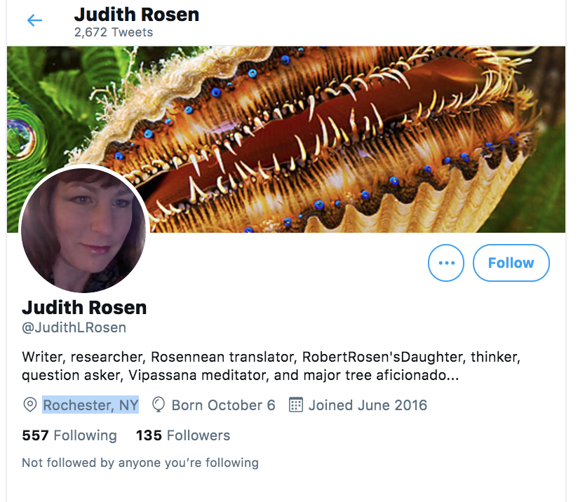 From above we can see that Janine is somewhere in Australia (w/ Swedish activism)As we can see from 3 first followers, two are from New York, and also 2 looks like bots who finished posting long time ago. One from them has 654 followers with 12 tweets, last message 2018: