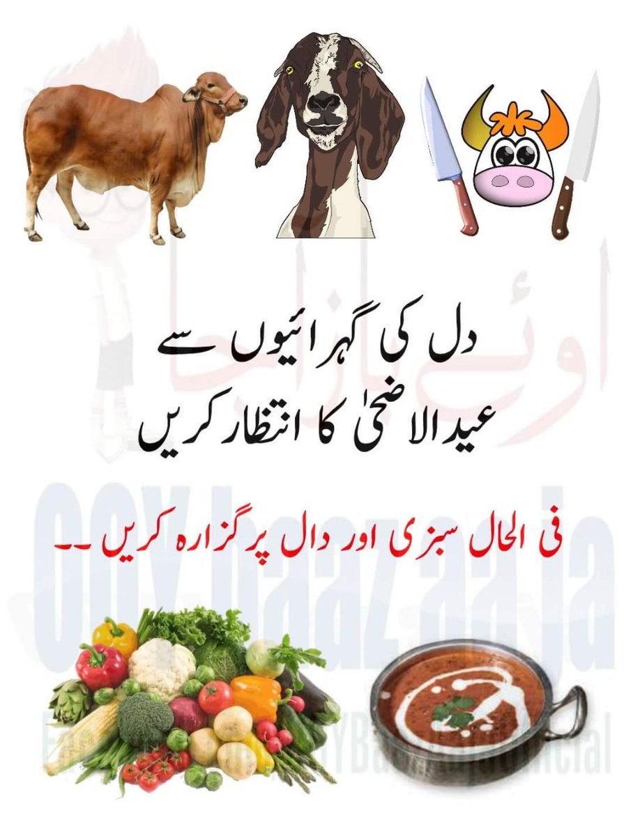 #PTI_PG 🐤
@rbpti0 🅰️
<a href="/shz787/">🌟⭐️🌟🌟sʜᴀʜᴢᴀᴅ ᴍᴜɴɪʀ🌟⭐️🌟⭐️</a> 
@Smpti0 
<a href="/_Zoya_1/">ИФБLΞ</a> 
@ZA_Pti9 
@raj_92b 
<a href="/safgan0/">Sher Afgan</a> 
<a href="/986_zo/">Zoya Khan</a> 
<a href="/Af_i_a/">𝘼𝙛𝙞𝙖 𝙁𝙖𝙝𝙢𝙞𝙙𝙖</a> 
<a href="/abd_250/">muhammad abdullah50</a> 
<a href="/MW__13/">MMM</a> 
<a href="/Daani99/">Danish Ali</a> 
<a href="/Sanaji54/">Sana khan</a> 
<a href="/sa_edpk/">استاد جی 📖</a> 
<a href="/AK__PTI/">عامر خان سواتی انصافین</a> 
<a href="/IBloch78/">Imran Baloch</a> 
@ZQ_1115 
<a href="/asd92_pti/">🇵🇰 وطن کی مٹی گواہ رہنا</a> 
<a href="/HeerMalik_/">Heer Malik</a> 
<a href="/SherAfgan0/">Sher Afgan</a> 
@abdul0haddi 
<a href="/No1Chitrolia/">چھترولیہ</a>
33