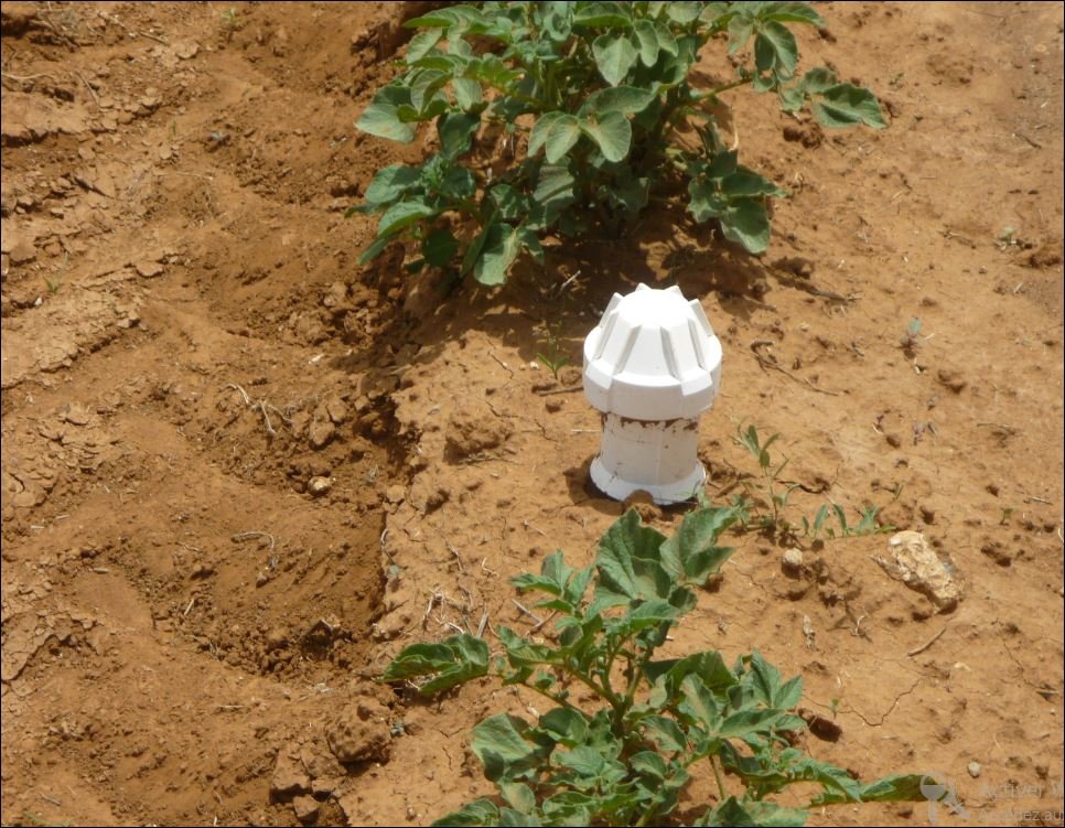 PrecimedP's tweet photo. We installed a Diviner 2000 for irrigation scheduling of potato crop in one of our pilot farm.
To know more about our project: https://t.co/fkm40713wm
#PRIMAProgram #Mediterranean #EU #EUinnovation #innovation #PRIMAproject #H2020 #PRECIMED #precisionagriculture #irrigationtech https://t.co/OBKCfVzqmB
