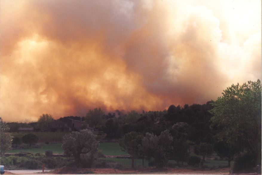 L'abril de 1994 un gran incendi arrasava el Garraf. En total van cremar 4.867 Ha. Aquest és el panorama que teníem a Can Rigol, les flames es van aturar a escassos 600 m de casa. En aquests dies tan secs i calorosos sempre estem en alerta. #incendisforestals