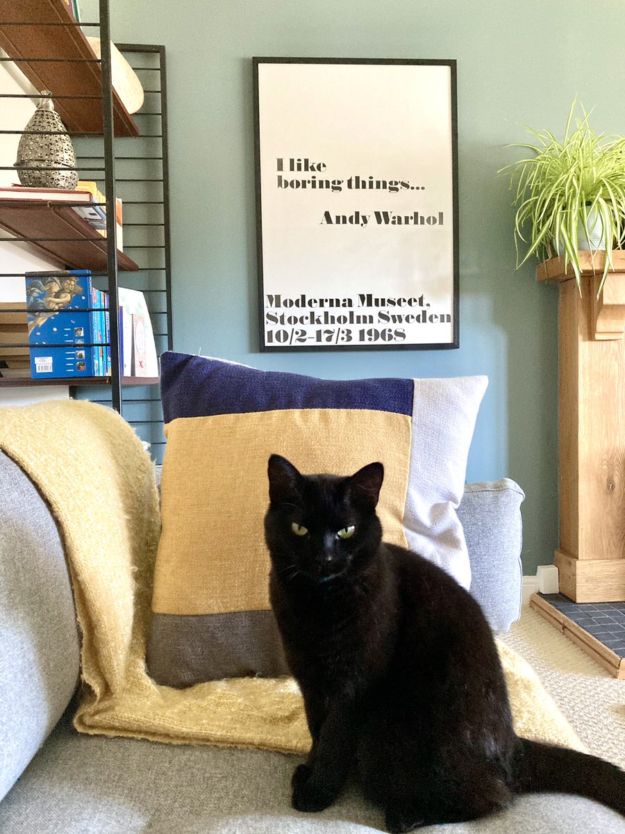 Claire Osborn tweet media