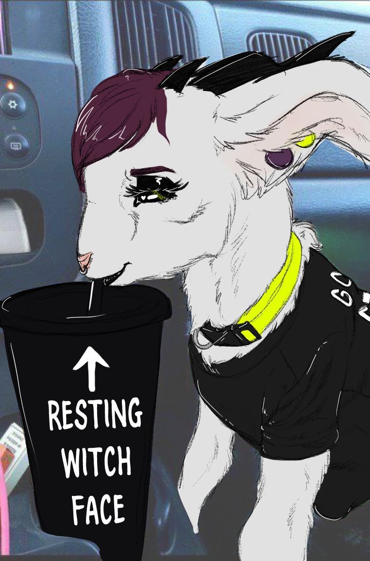 QueenBleat's tweet photo. My aesthetic... https://t.co/XlXpiyudcT
