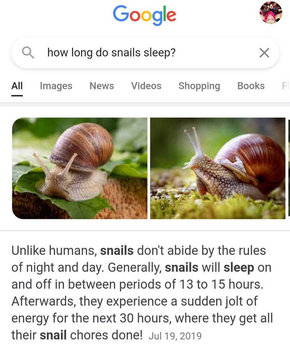 CoffeeJournalis's tweet photo. Ah man! I'd love to get the same jolt of energy as a snail to get my snail chores done in the next 30 hours! 
#SnailGoals
#BeCurious https://t.co/kCCymErccL