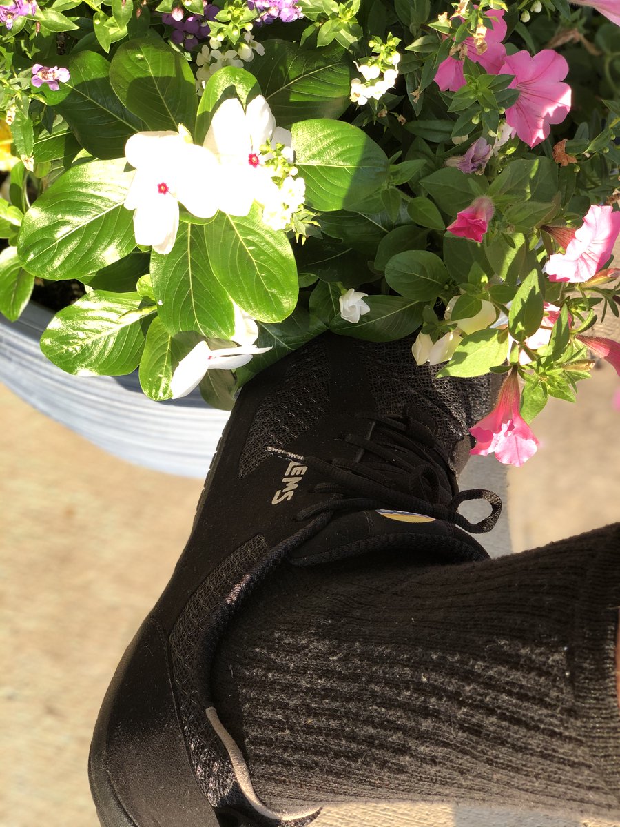 andrewbishup's tweet photo. Itβs a beautiful βοΈ day in Northern Kentucky! Iβm reppinβ my favorite shoe brand @LemsShoes!
Grab yours at the link below and receive FREE domestic shipping! π¦
https://t.co/QycuYZE6lD
#Lems #LemsShoes #Fashion #Style #shoe https://t.co/6AmCg4W5kF
