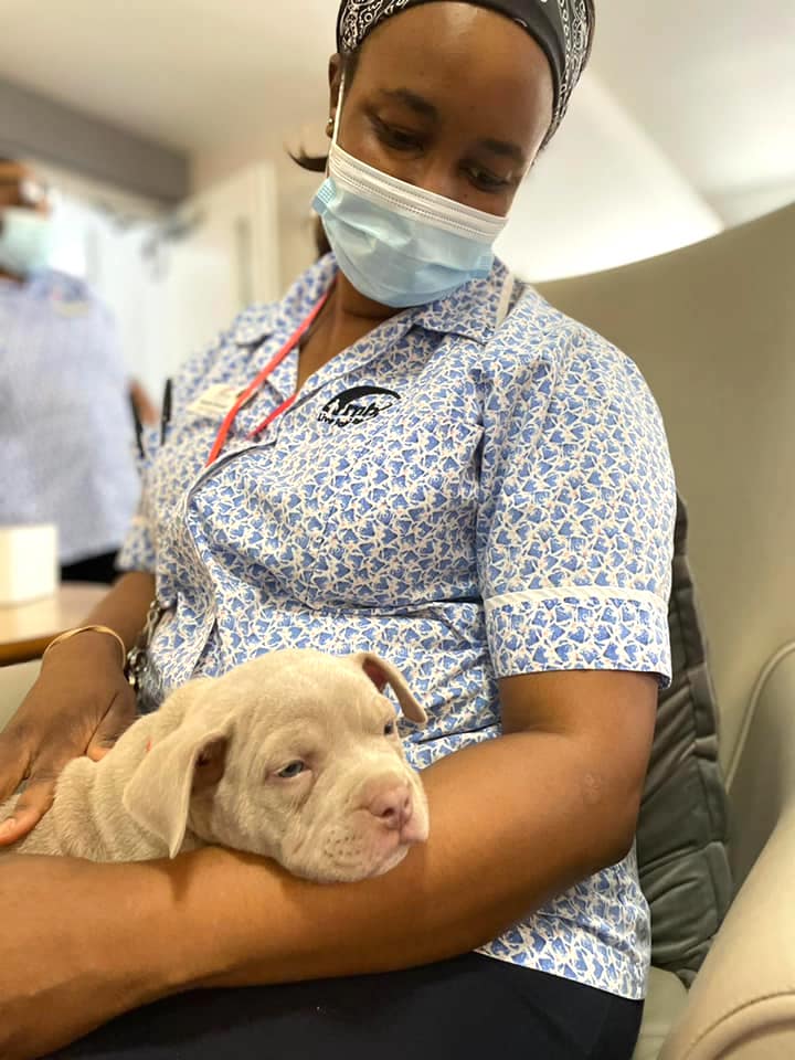 We Care For England tweet media