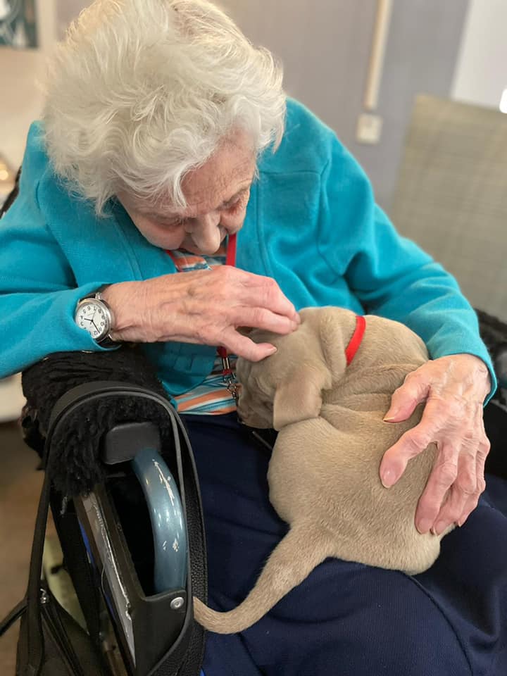 We Care For England tweet media