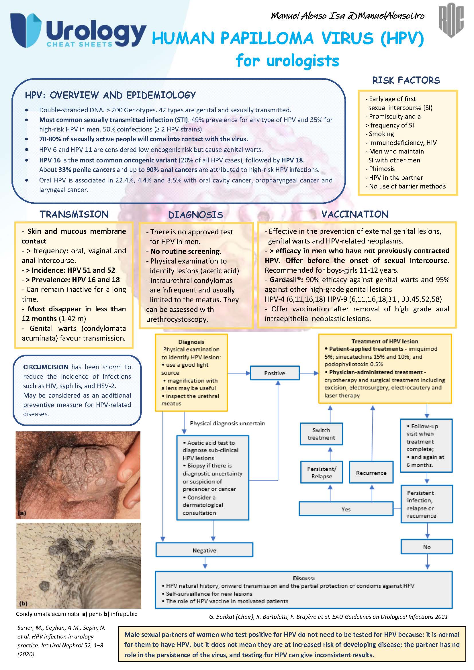 hpv lesion meatus)