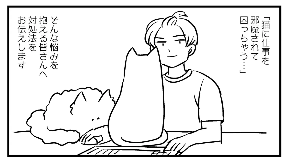 諦めも肝心？www猫に仕事を邪魔されて困っている人たちへのアドバイス！