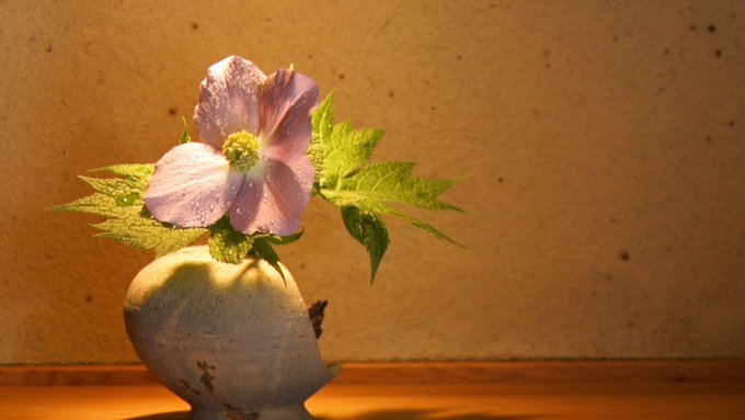 セブンルール 京都 花屋みたて の西山美華さん 宅配サービス 季節のおまかせ便