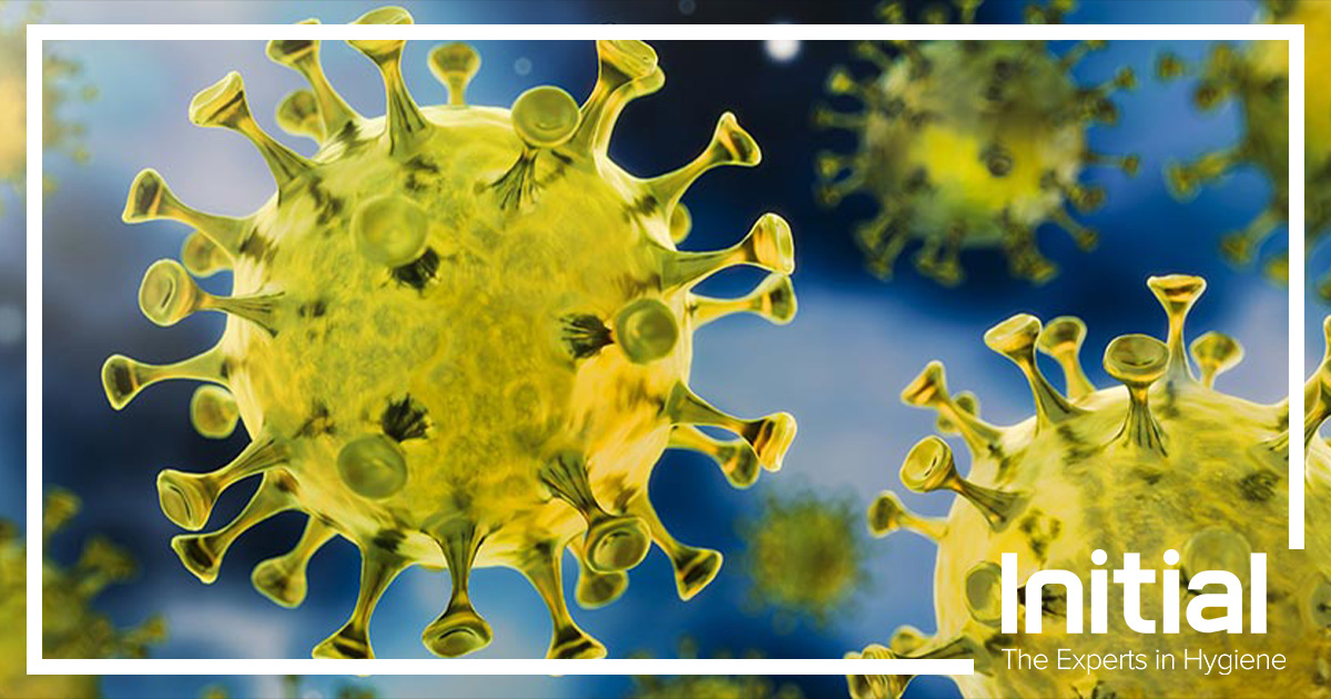 От чего этот коронавирус. Тесть на картона виррус. От чего этот коронавирус. Коронавирус характеристика вируса. Коронавирус информация.