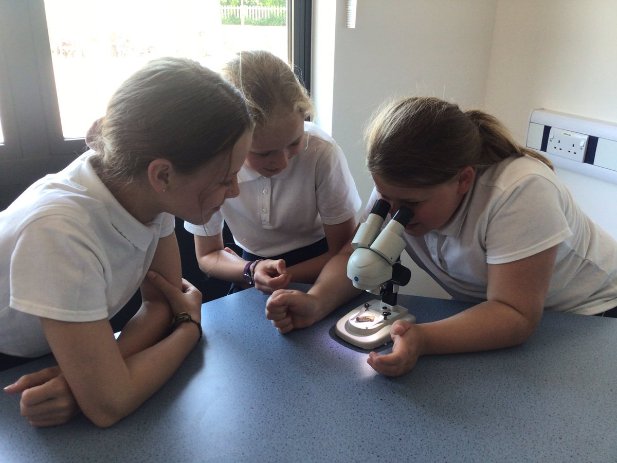 Year 6 loved using Avonwood’s brand new microscopes in our wonderful science lab. We really enjoyed looking at different specimens in greater detail!