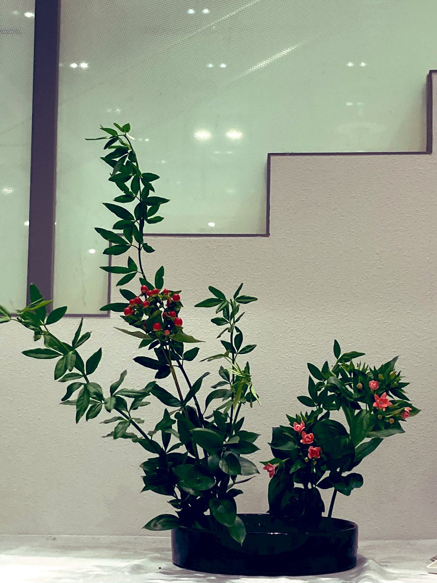 ট ইট র 鹿児島大学華道部 こんばんは 今日はお稽古でした 今日は雨でしたが かわいい実やお花を観て気分リフレッシュ 花材 ソケイ 緑の小さい葉のついた植物 ブーバルジア ピンクの花が咲いてる植物 ルスカス 大きな緑の葉のついた植物 ট ইট র 鹿児島大学華道部 こんばんは 今日はお稽古でした 今日は雨でしたが かわいい実やお花を観て気分リフレッシュ 花材 ソケイ 緑の小さい葉のついた植物 ブーバルジア ピンクの花が咲いてる植物 ルスカス 大きな緑の葉のついた植物