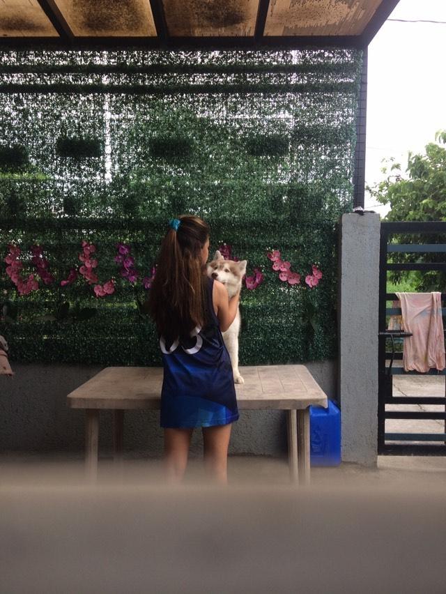 mhaylinreal's tweet photo. https://t.co/HnV1VNHinV