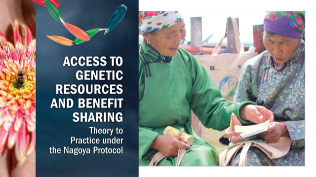 UNDPabs's tweet photo. BOOK LAUNCH📕🚀JUNE 23rd 9 AM NEW YORK
Discover countries´ ABS strategies, that supported on #TraditionalKnowledge, science, technology, and human ingenuity, helped to develop novel products from #GeneticResources, towards #SDGs
Register➡️https://t.co/UkuwzcOcwJ https://t.co/ZnvXF2Wj2g