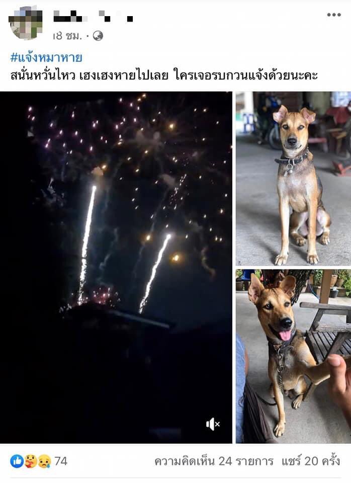 พี่อ้อไม่เป็นมิตรกับติ่ง ปสด tweet media