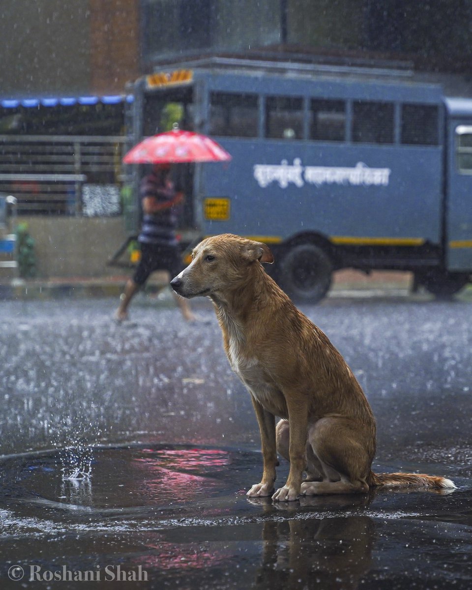 The Unheard Story 💫
.
#mymumbai #Mumbaikars #mumbairains #mumbai #streetsofmumbai