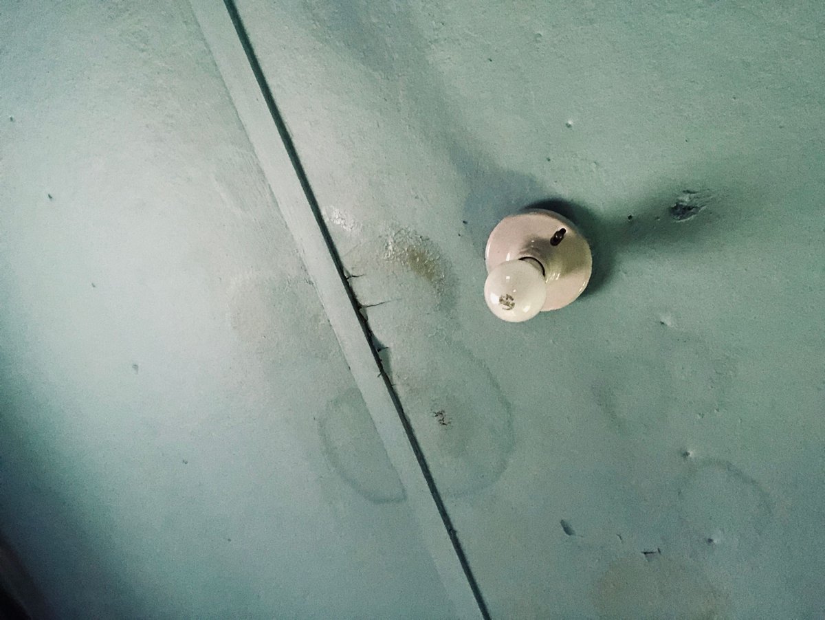 RPFEnvironInc's tweet photo. Health concerns are always a topic when talking about mold but on top of health risks, if there is a significant mold presence in a building, this can lead to damaged building materials and costly repairs. https://t.co/HqFjjqNmGp 

#mold #moldinspection #moldsurvey https://t.co/pnhF6Lp1jq
