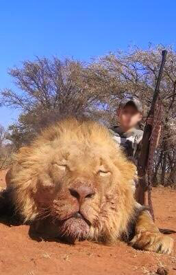 The worst virus we face is the one that indoctrinates evil into the next generation💔

#BanTrophyHunting NOW <a href="/JoeBiden/">Joe Biden</a>🦁

<a href="/RickyGervais/">Ricky Gervais</a> <a href="/Protect_Wldlife/">PROTECT ALL WILDLIFE</a> <a href="/CBTHunting/">Campaign to Ban Trophy Hunting</a> <a href="/PeterEgan6/">Peter Egan</a> <a href="/zbleumoon/">Sarah ☮ & █▄❤️╲╱☰ Ⓥ🐘🐯🐬🐷🐥🐄</a> <a href="/RobRobbEdwards/">Robb Edwards 🌱</a> <a href="/TrophyXpose/">XposeTrophyKilling</a> <a href="/NickTaylorLLB/">Nicholas Taylor</a> <a href="/Animal_Watch/">🌎Animal Watch</a> <a href="/BellaLack/">Bella Lack</a> <a href="/Veganella_/">Veganella 🥦</a> <a href="/Animals1st/">Animals1st</a>