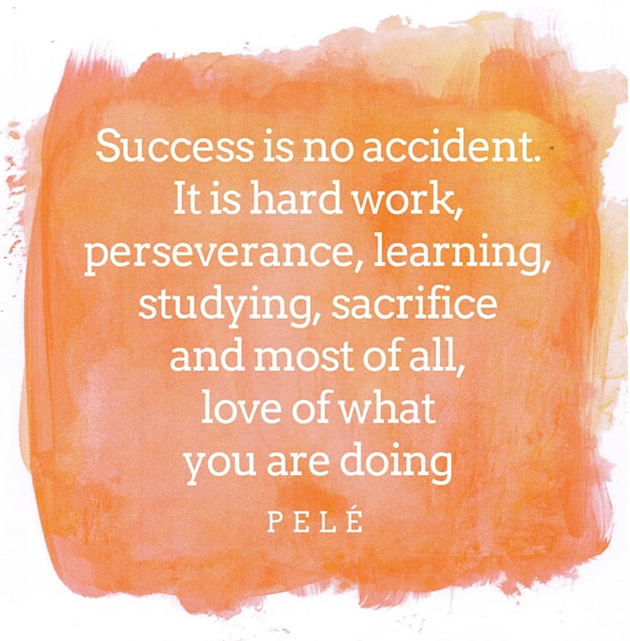 ECOYPN (@ecoypn) on Twitter photo 