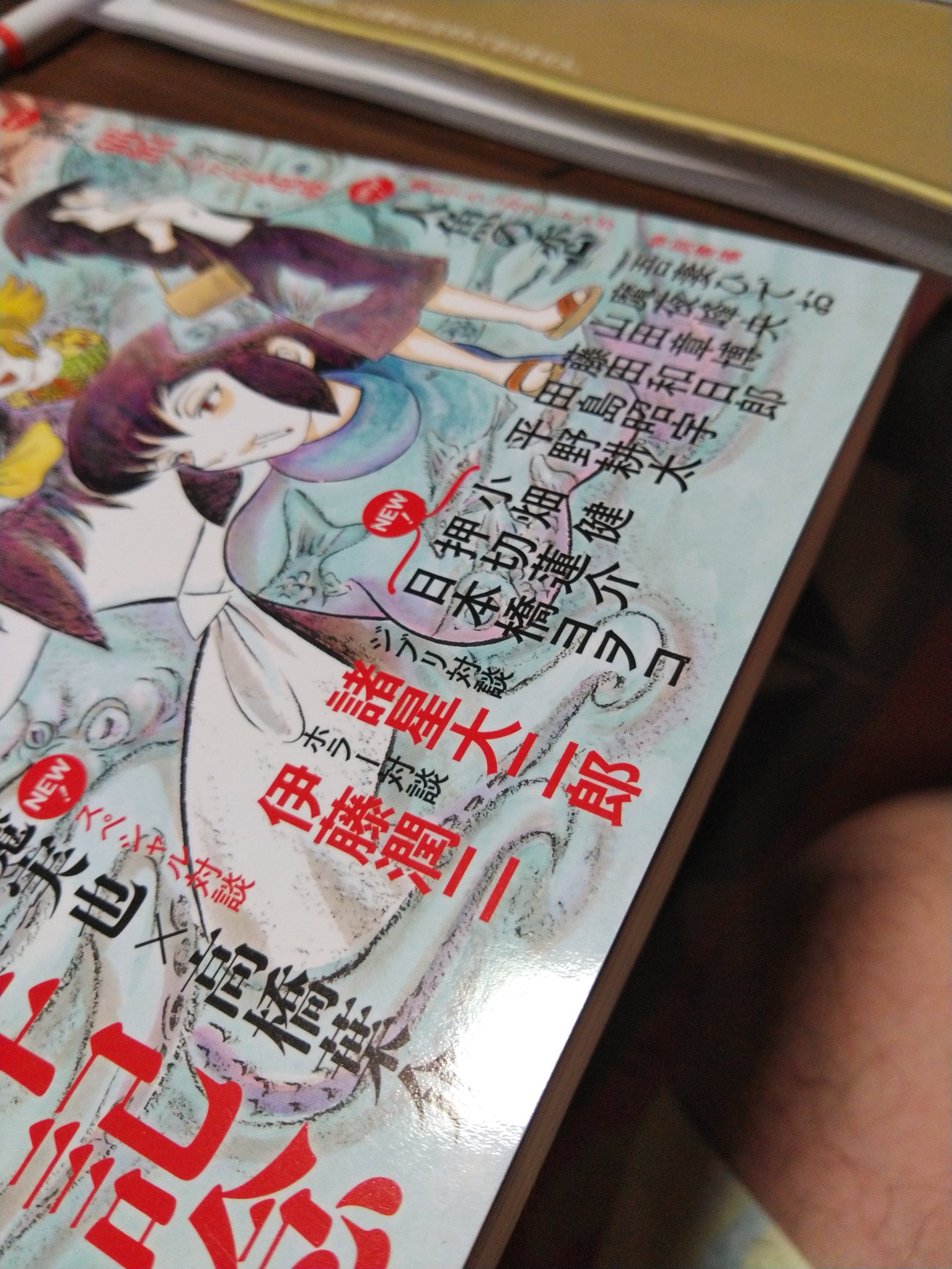 兼業法師 文藝別冊 総特集高橋葉介の特別寄稿者が 自分の好きなクリエイターばっかりでたまりません 魔夜峰央 藤田和日郎 田島昭宇 平野耕太 小畑健 諸星大二郎 錚々たるそうそうたるメンバー 表紙には名前が無いが菊地秀行 井上雅彦も評論 夢の