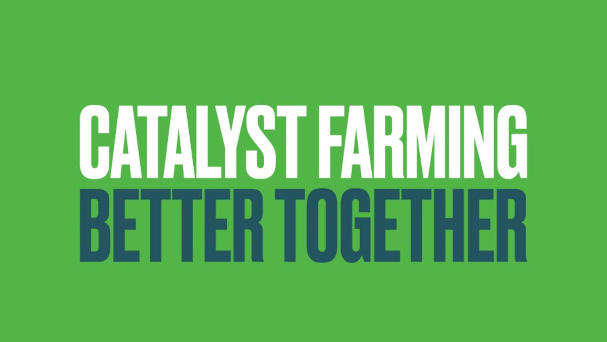 Raynham Estate tweet media