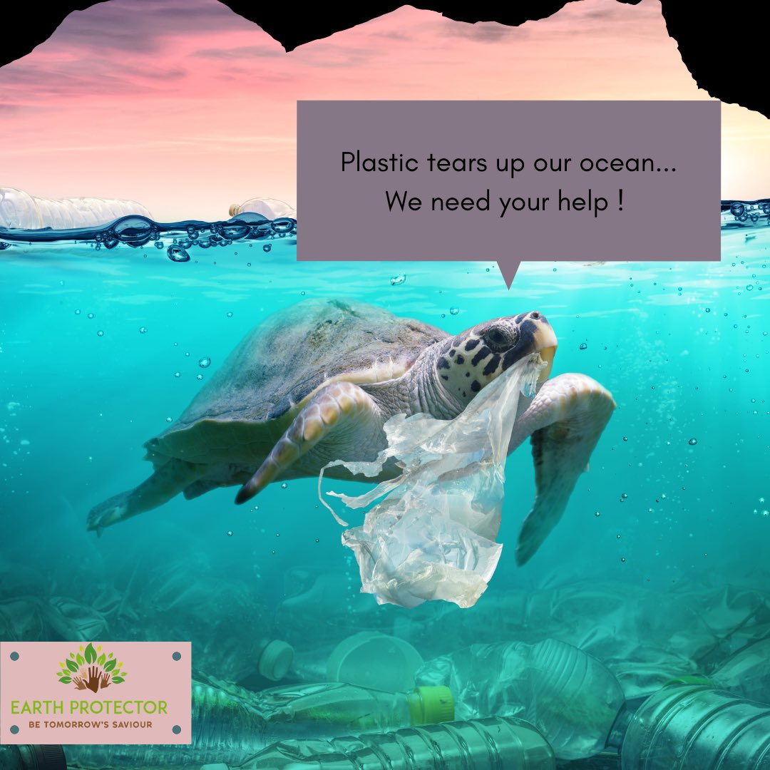 EarthProtectorr's tweet photo. The environment need us now more than ever. 🐢 🌊 
#SaveFranklin #psbhack2021 #EarthProtector #DigitalBusiness @Psbeduparis #hackathon https://t.co/C6zzRLyxBa