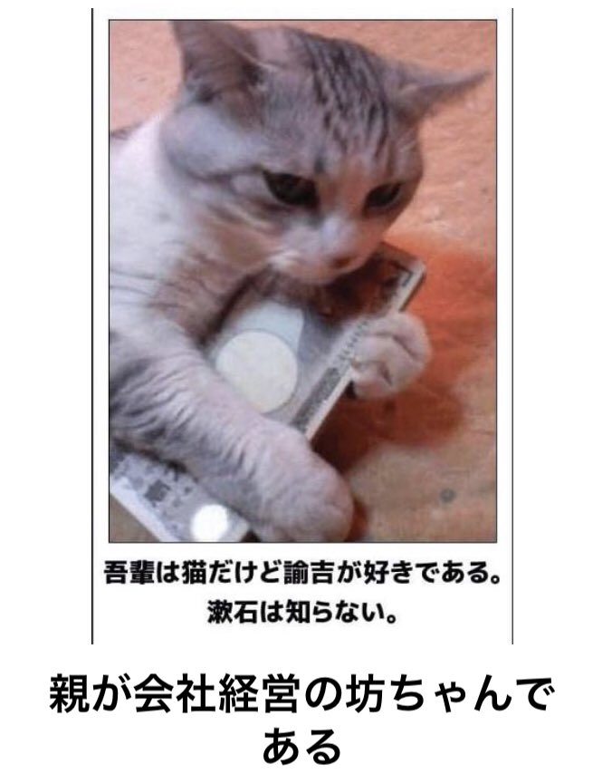 猫おもしろ画像