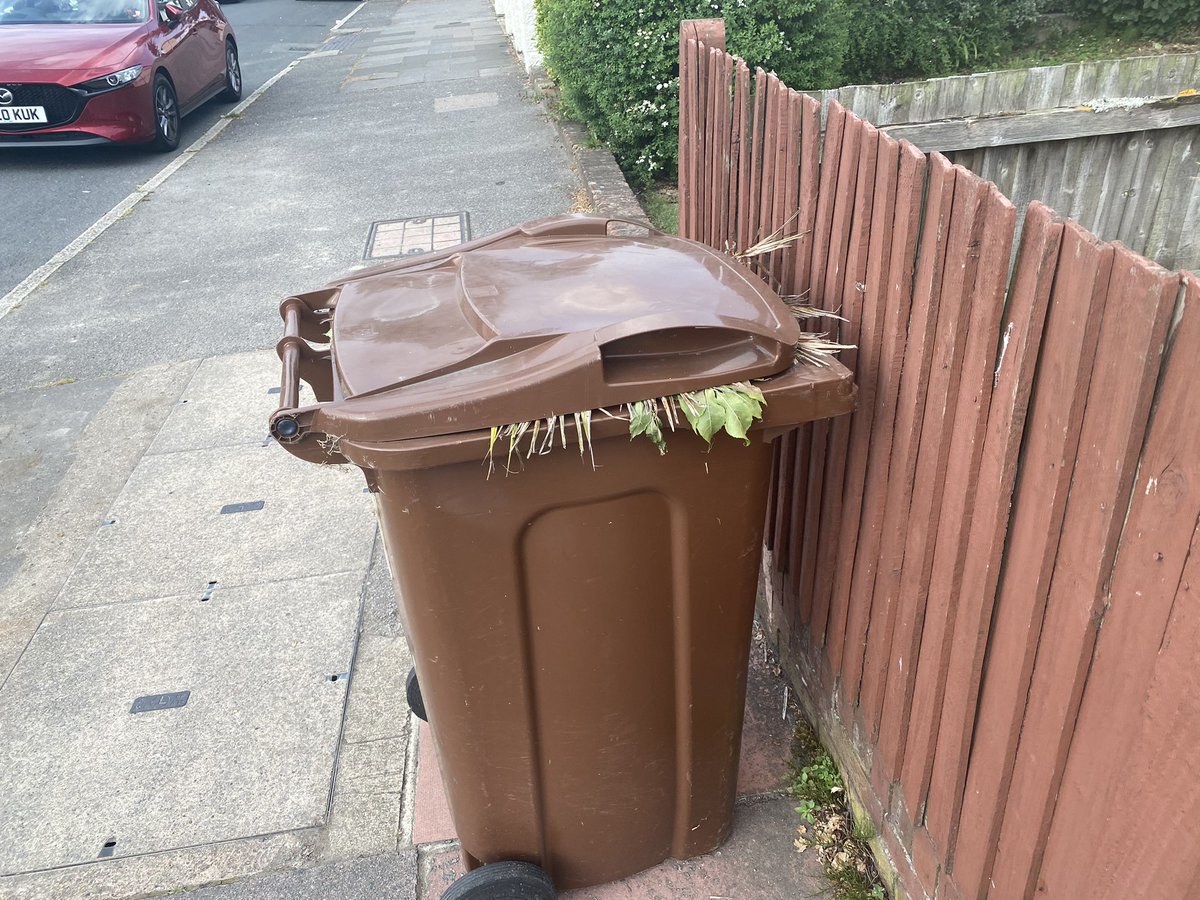 Jonathan Burnside tweet media