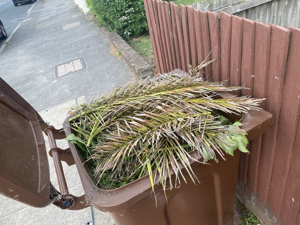 Jonathan Burnside tweet media