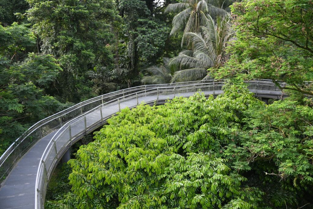 ambigram0's tweet photo. Here's a guide to hiking the Southern Ridges in Singapore, featuring a Giant Worm Bridge, a thorough analysis of signposting, and some carrot cake. What more could you want? https://t.co/BNITRMaIGv #travel #hiking #Singapore https://t.co/5DjC2zJmeX