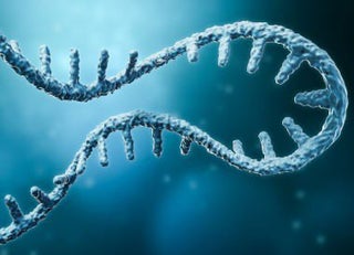 #science #STEM Discovery Shows Human Cells can Write RNA sequences into DNA reddit.com/r/science/comm…