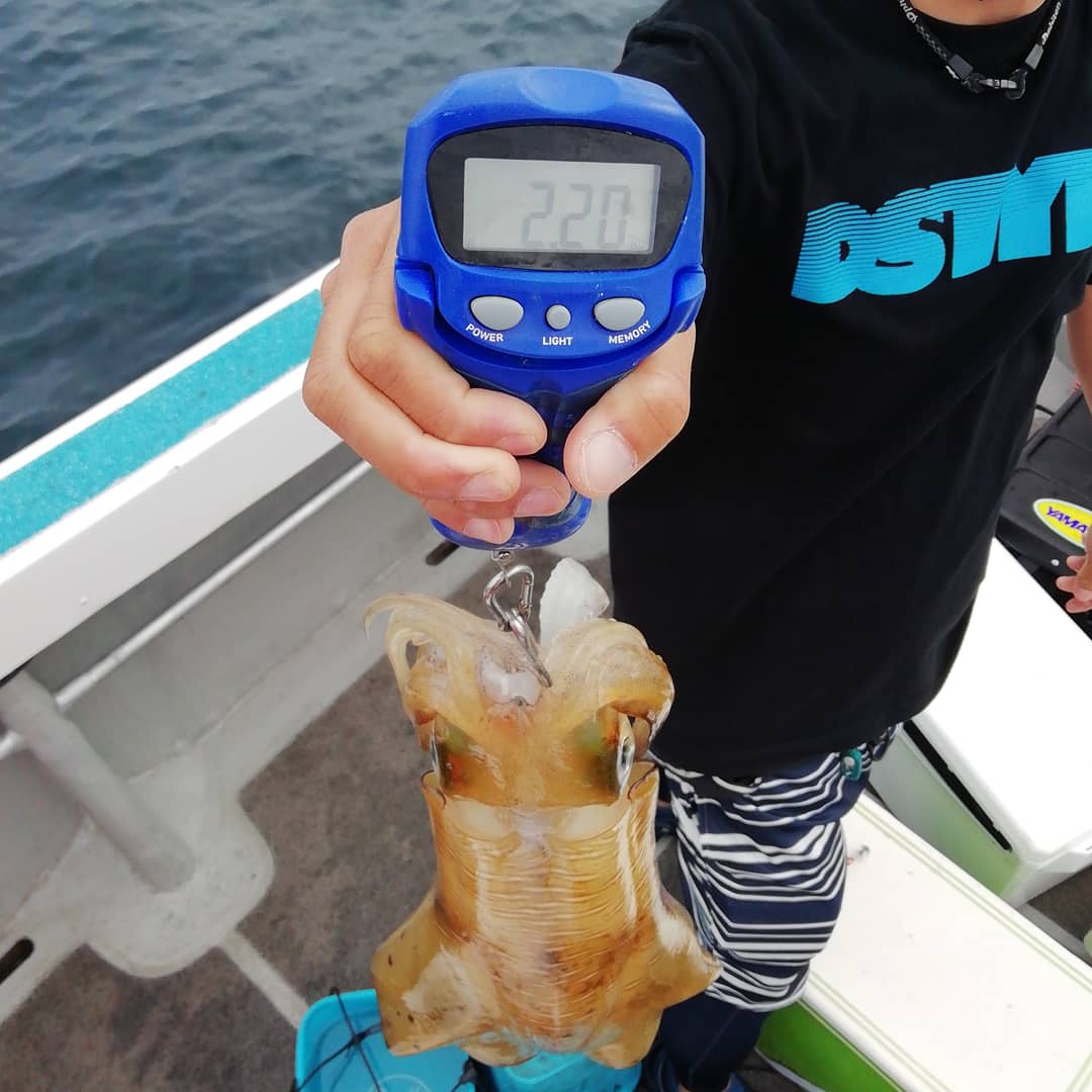 九三丸 エギング 型も数も上がりました たくさんのリリースも 連続ヒット等ラッシュあり 2 2k 35杯 竿頭様15杯程 フォロー いいね Rtお願いします T Co Kdqaiu2tsy 九三丸 福岡 博多 カモメ広場 遊漁船 釣り船 ルアー船 エギング船