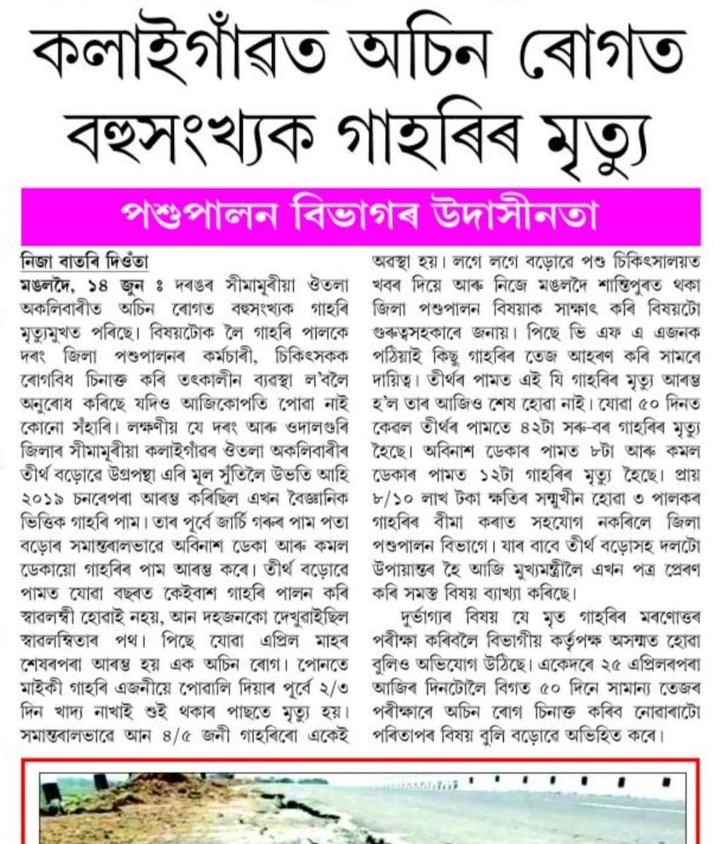Veterinary Welfare Forum Of Assam tweet media