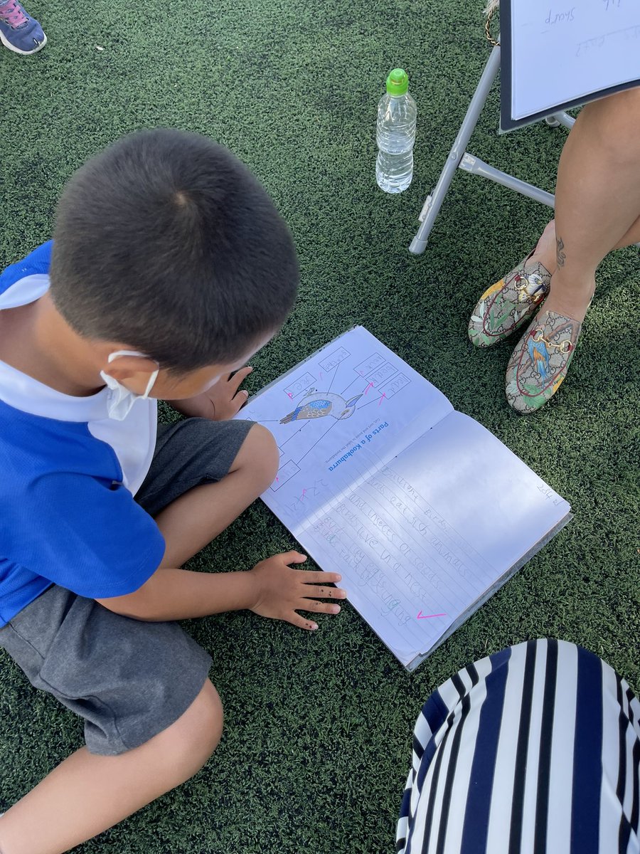 BSBCPrimaryHT's tweet image. Year One Exhibition of Learning! Sharing amazing progress and their final collaborative class book which they have written for the new year one children in September! #legacy #REALProjects @BSB_Barcelona