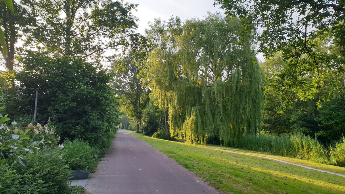 Alam Indah di Almere. Berasa di Kebon Raya Bogor.