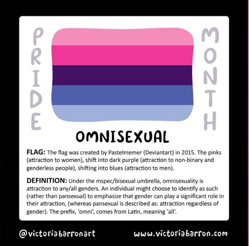 The Omnisexual Pride Flag Is Light Pink, Pink, Dark Purple,