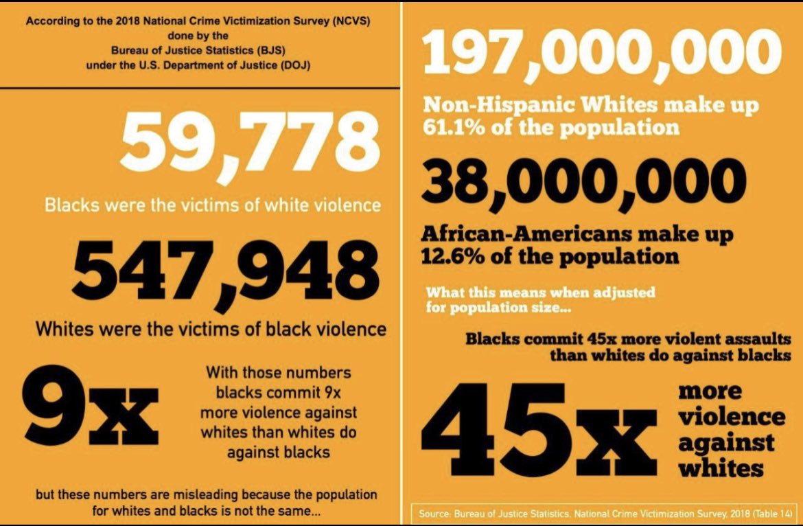zosima_sinner's tweet photo. Today’s cultural Marxist organization BLM and the Leftist would have you believe that people of European decent are responsible for the death of black….that’s a lie! #whitelivesmatter #facts #retakeamerica #webuiltthemodernworld https://t.co/DN7FZ699ss