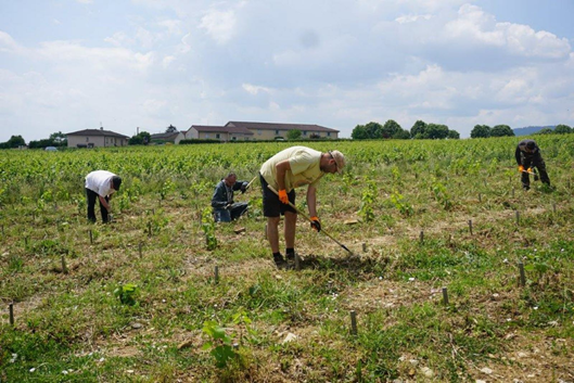 ACTEM6's tweet photo. Rhône. Insertion : les « Brigades viticoles » sur le terrain de leur première mission à Belleville-en-Beaujolais - https://t.co/6YOkkAnFlE https://t.co/Rje9TSgAr3
