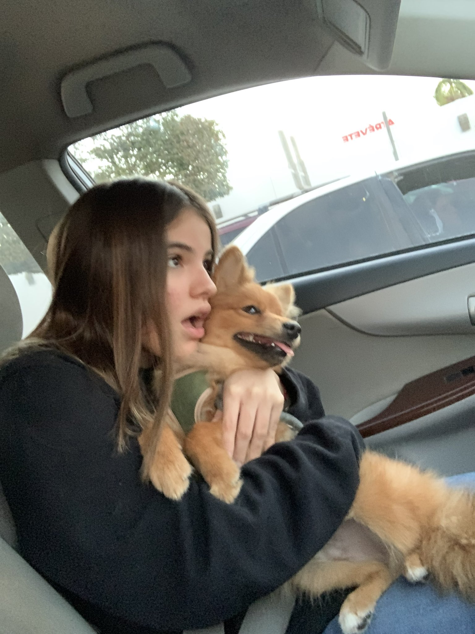 TW Pornstars - Gigardez. Twitter. Te amo pichirulo. 8:12 AM - 15 Jun 2021